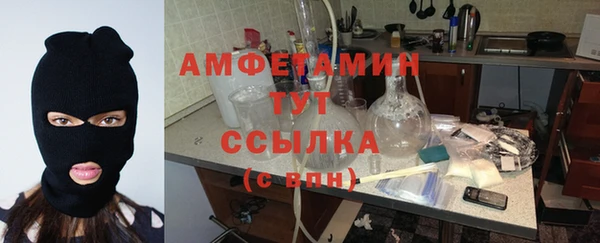 хмурый Алексин